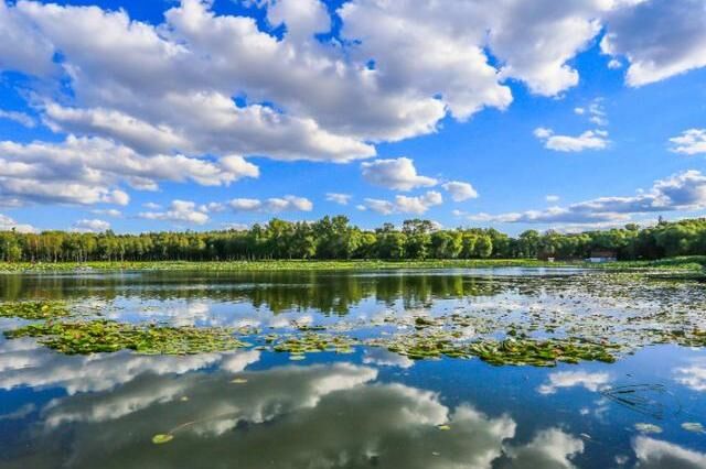 东北有一公园，春季岸柳垂青，胜似江南，冬季美景美如画