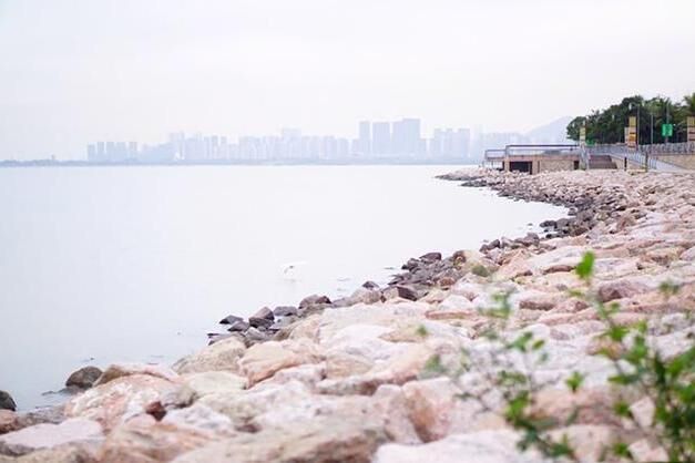 深圳网红景点，深圳湾公园攻略，一出地铁站就看到海的公园