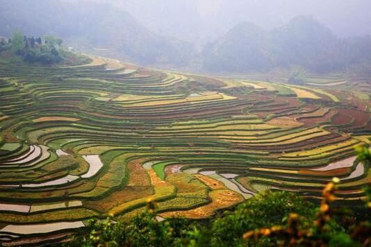 艳阳下的梯田，波光潋滟，犹如一环环银带，磅礴壮美，让人惊艳