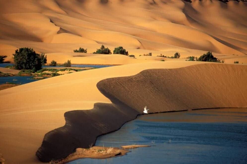 世界上最大的沙漠，面积和中国近似，形成于250万年前