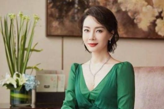 她出道了17年，结婚8年，与继子相安无事，如今42岁仍淑女