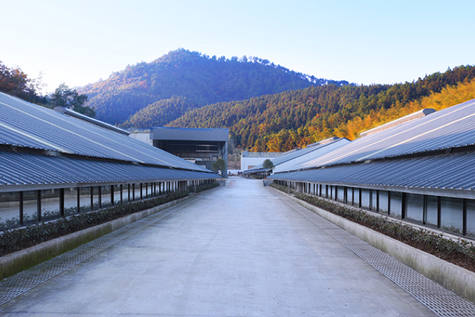 京东也有猪了，怎么回事？