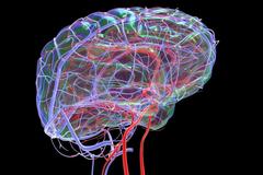 常吃阿司匹林会让血管变&ldquo;脆&rdquo;么？吃或是不吃，哪个更危险？