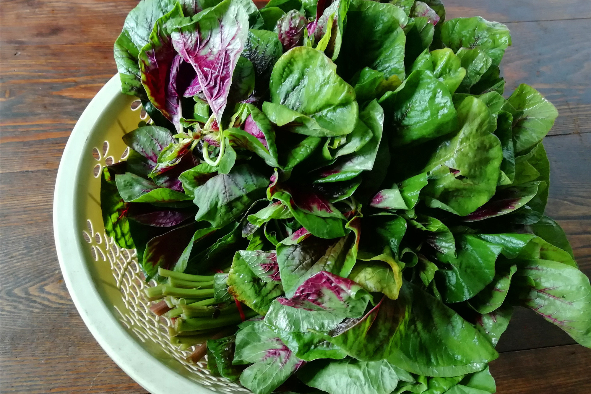 炒蔬菜前，蔬菜到底要不要焯水，焯水有什么好处，看完你就懂了