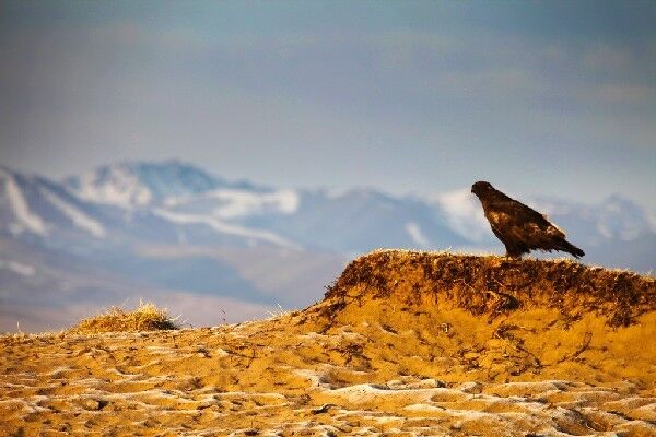 初次自驾进藏的小白，千万别先选择新藏线，这是为何？