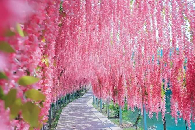 年末江西自驾推荐，梦幻花廊恐龙乐园，铜源峡暖冬1日游记