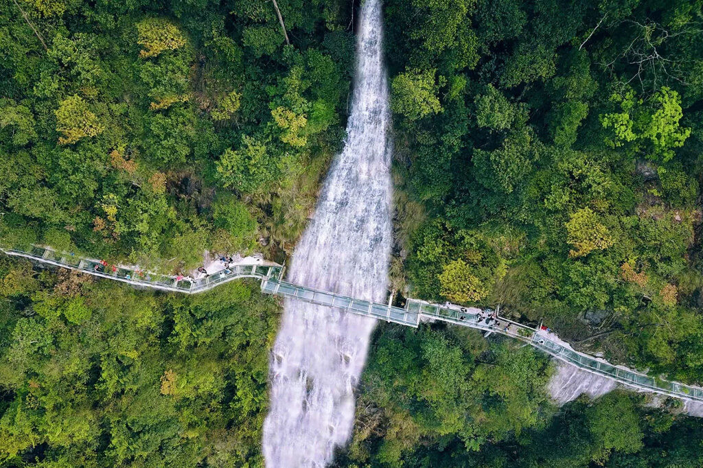 绿色生态之旅！全国最新森林康养基地推荐，你的家乡有吗？