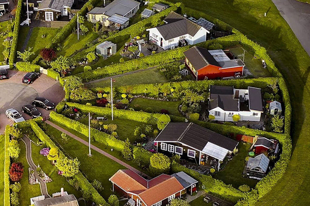 花园里的梦幻，丹麦建造未来社区，网友：好想住进去啊！