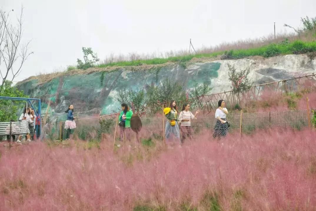 少女心爆棚！十月重庆浪漫自由行，香水百荷网红粉黛游玩指南