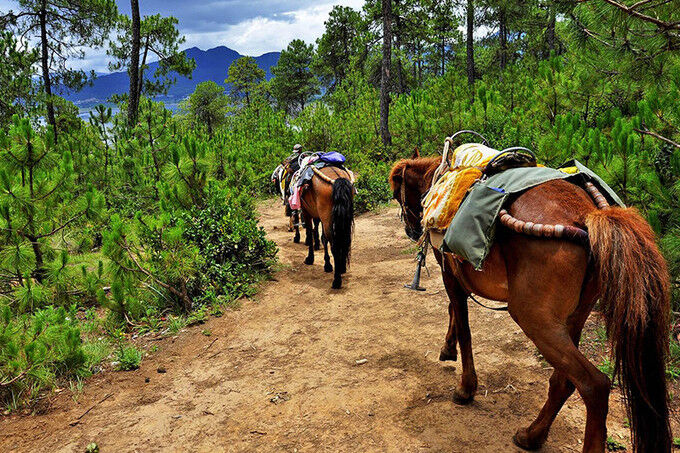毕业旅行季！六月益阳自由行攻略，湖光山色带点“野”！