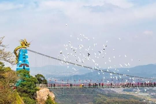 全国独家！百米高空观百鸟身旁飞过，安徽这座玻璃桥又火了！