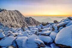 镜头｜白日隐寒树 野色笼寒雾