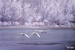 镜头｜大美十二月：锦绣河山风光好