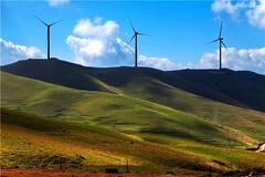 镜头｜能源革命新时代 绿色低碳促发展