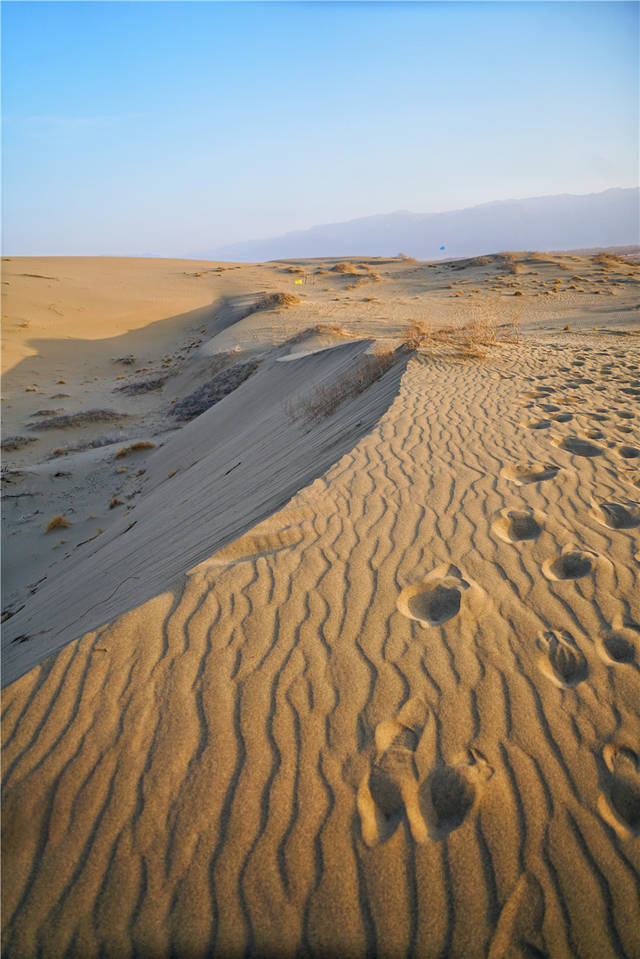 这里被称为塞外江南,有中国最大的内陆湖,还有连绵起伏的沙漠_旅游_探