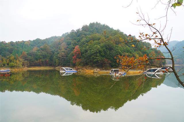 千岛湖龙川湾：长三角后花园的诗画田园，千岛湖唯一的湖泊湿地