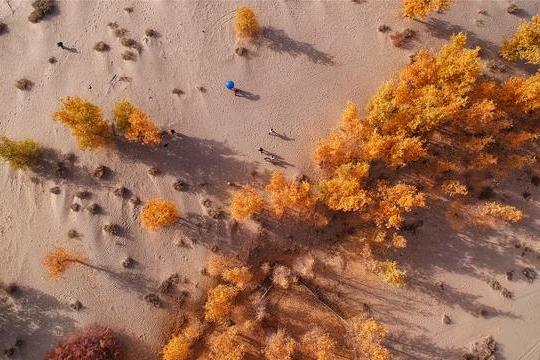 追寻中国南疆最美的秋色，和田艳遇绚烂的大漠胡杨林