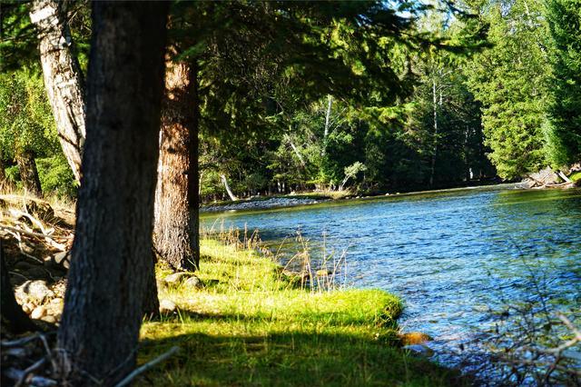 新疆可可托海有一对神奇的夫妻树，秋天成了摄影人必打卡的景点