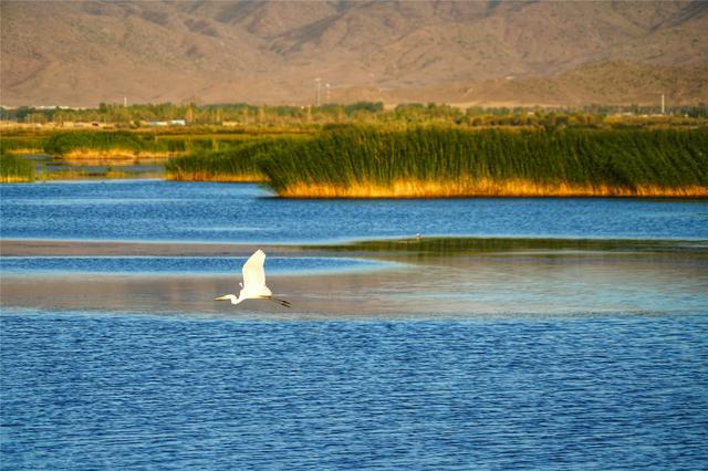 世界第二大冷级的梦幻仙境，可可苏海蓝的像一个梦