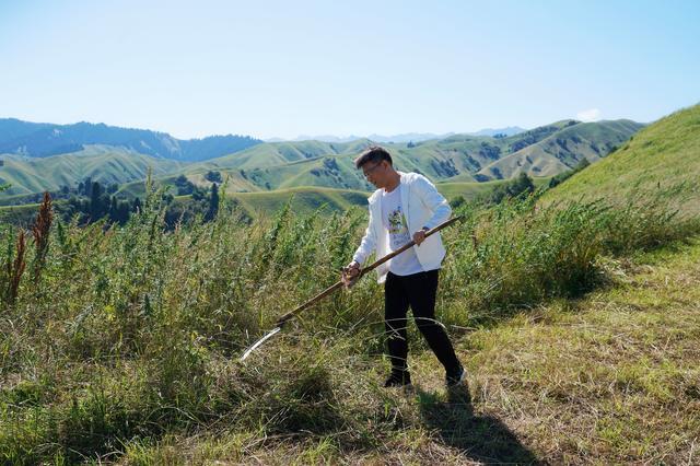 跟着哈萨克族牧民上山打草，体验地道哈萨克族生活，感受新疆秋季的魅力