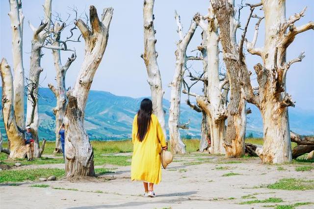 那拉提草原上的乌孙古迹，3万人修建的古墓有多大？