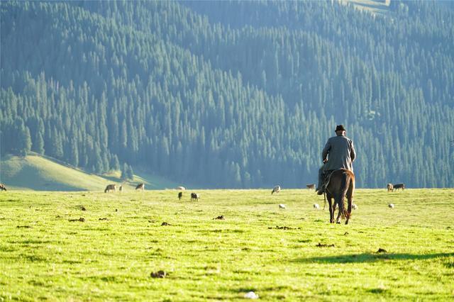 来那拉提寻找中国最美的秋色，空中草原带来不一样的惊喜