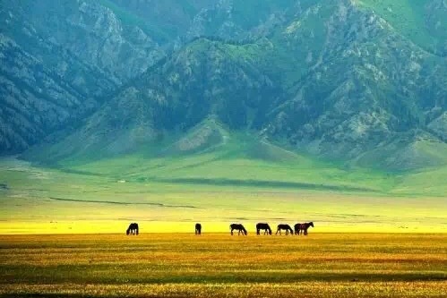 北疆深度自驾，金秋10月追寻中国最美的风景和人文
