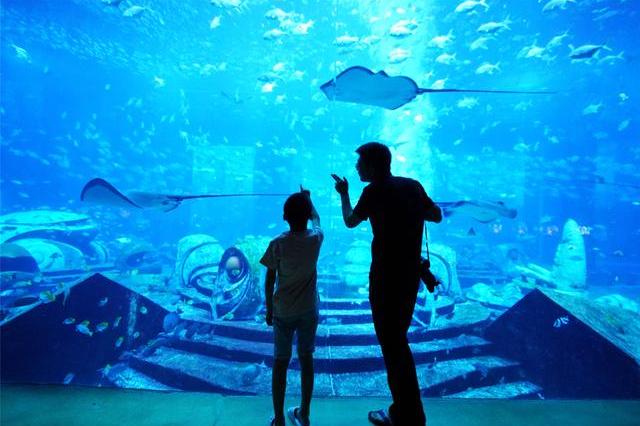 三亚最炫酷的酒店，失落的世界89000条海洋生物许你一个梦幻王国