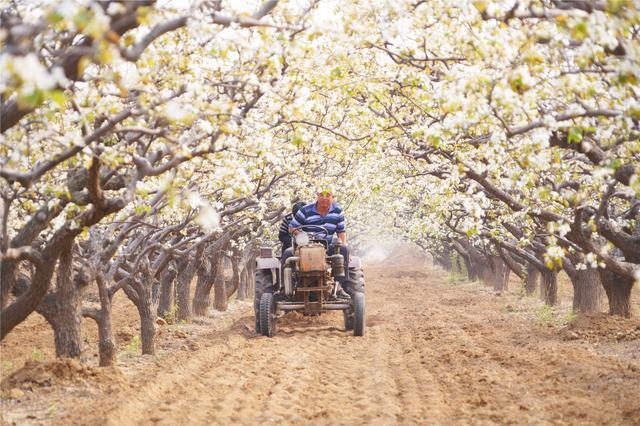 河北70名小学生的红色研学旅行，共绘20米画卷为祖国献礼