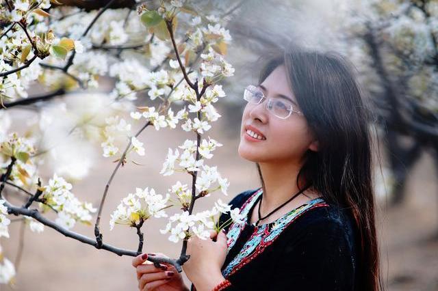 河北这座小城35万亩梨花绽放，马拉松、彩虹跑绚烂了整个春天