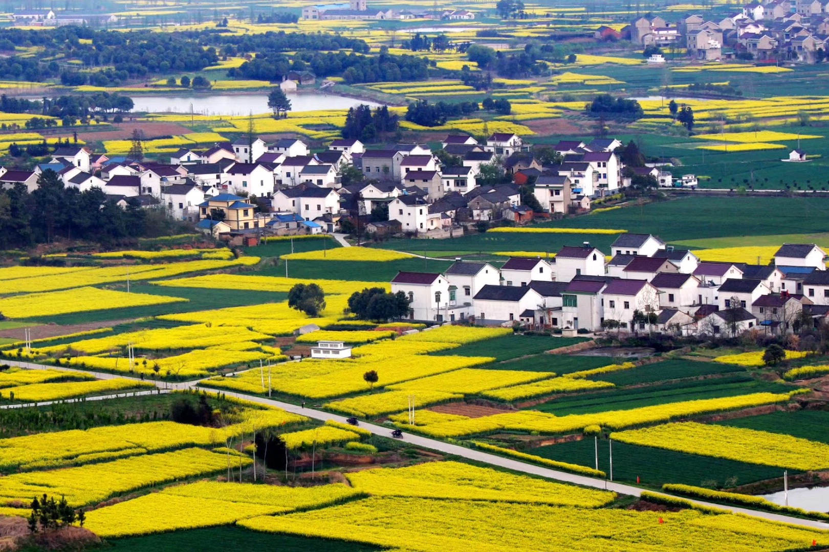 走进南京桠溪国际慢城，寻找最灿烂的春天色彩