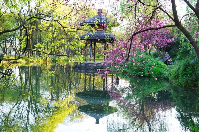 隐居西湖，意外发现一处森林秘境宛若世外桃源