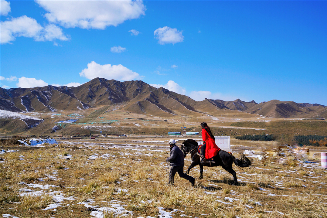 西北自驾小众秘境，雪山草原羊群自然风光不用门票也很美