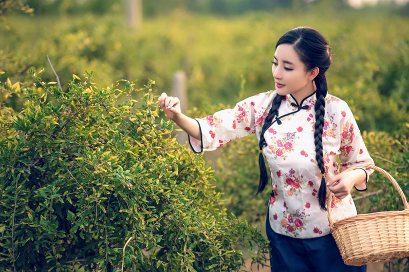 “巨鹿五彩杏花节”我与春天有个约会
