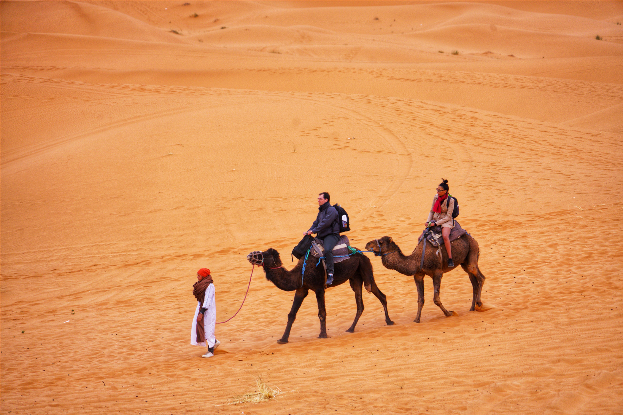 世界上阳光最多的撒哈拉沙漠，三毛一生最幸福时光都在这里度过