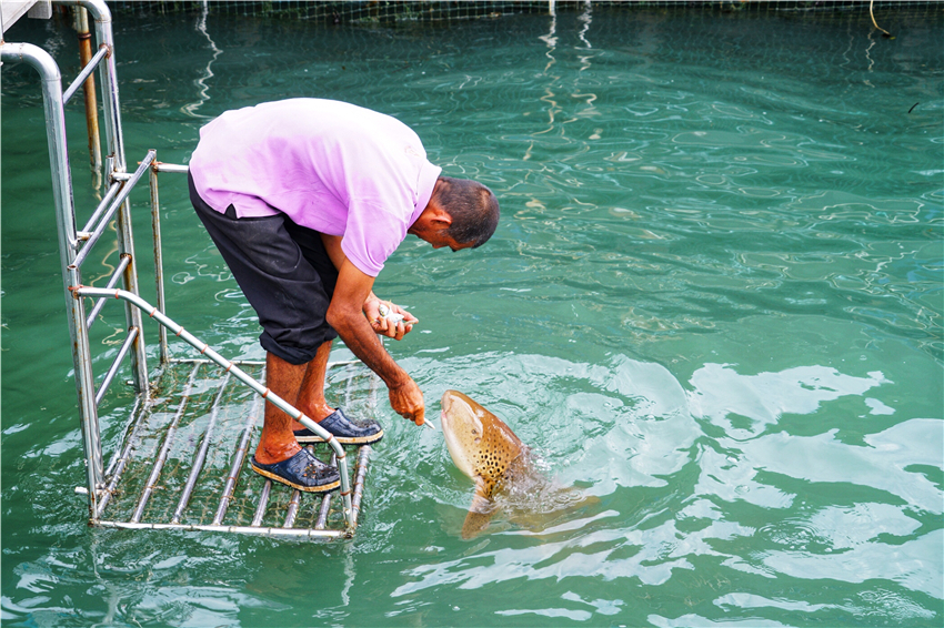 泰国尖竹汶有个皇家环保沙滩，在这里可以体验喂鲨鱼的刺激