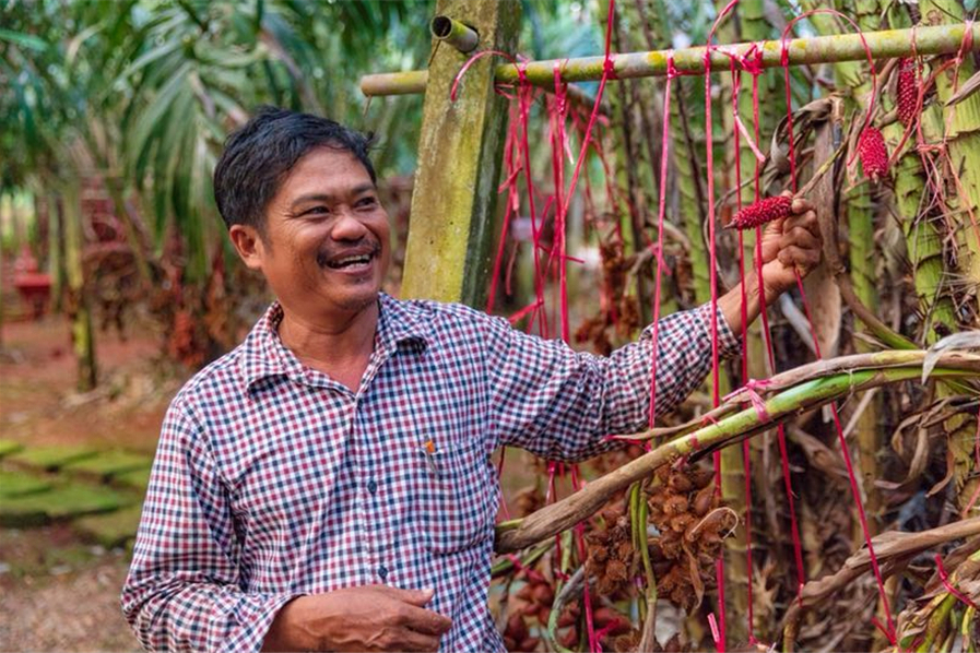 泰国尖竹汶蛇皮果种植园一年收益两百多万，老板说想来广州也开一家