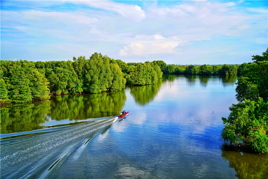 红树林秘境：泰国尖竹汶深处的绿野仙踪