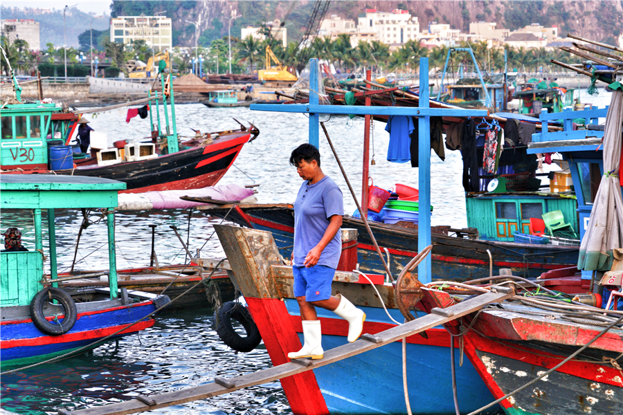 越南的海鲜市场，为什么干活的都是女人？