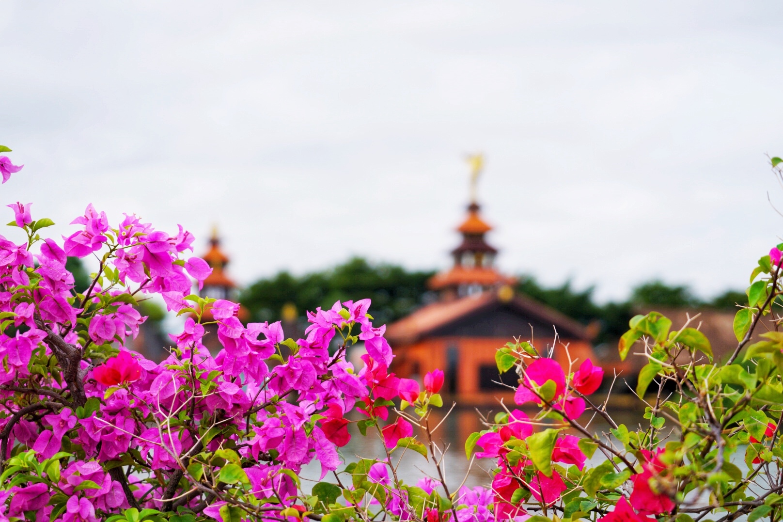 泰国慢生活，热带季风吹拂下的异域风情