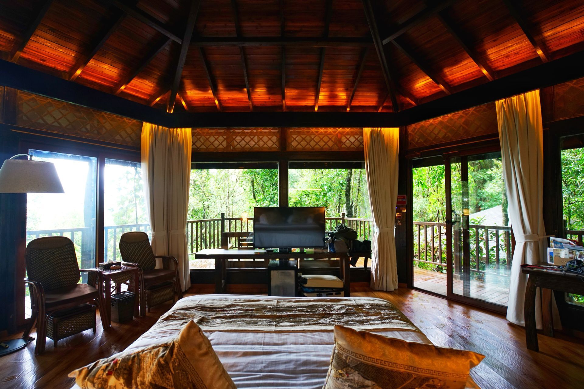 探秘普洱，走进奇妙的热带动物王国