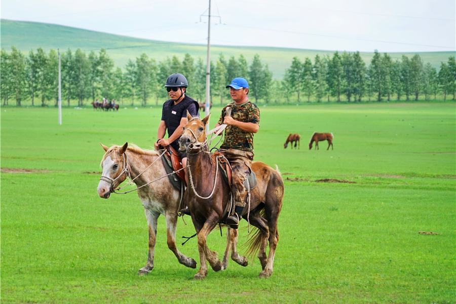 策马奔腾呼伦贝尔草原，这就是旅行该有的样子