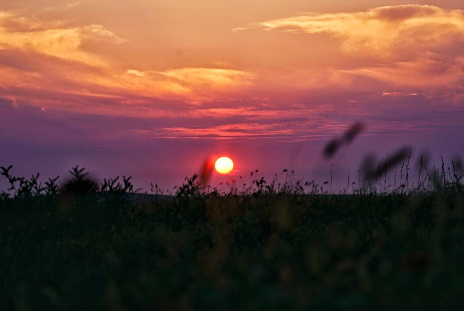 鄂尔多斯草原最美的季节，陪你一起看日落
