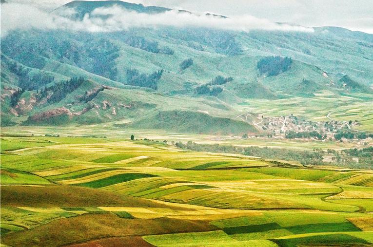 上帝在青海这个地方打翻了调色盘，留给卓尔山一个最美的夏天