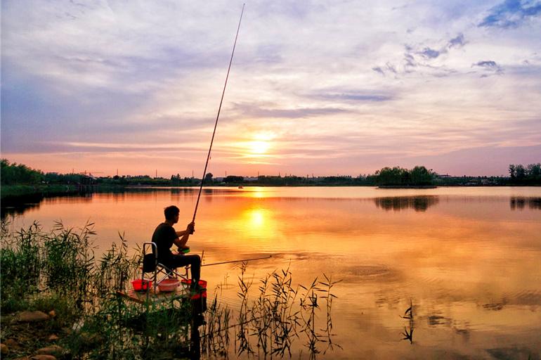 河北巨鹿麓园画院：隐藏在千年古郡里的江南园林