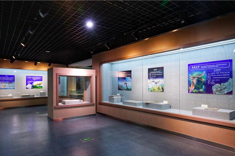 地球上第一朵花绽放第一只鸟飞起的地方，就在这个辽西小城