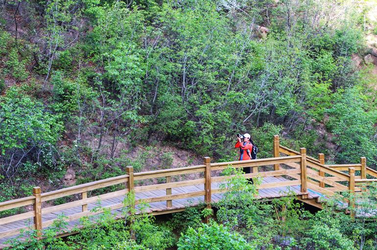 乾隆好奇心太强，为何东巡大黑山非要看铁树开花