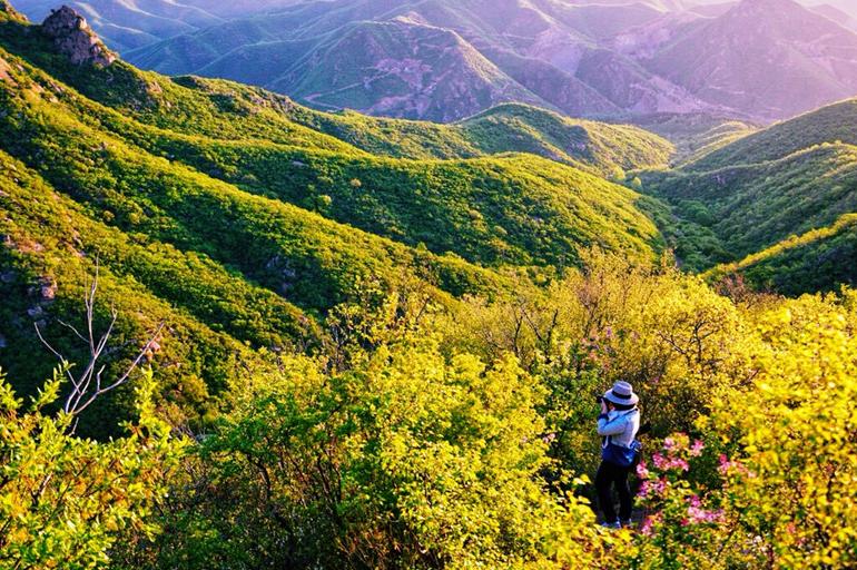 辽西有个大黑山，被称为东北的绿野仙踪