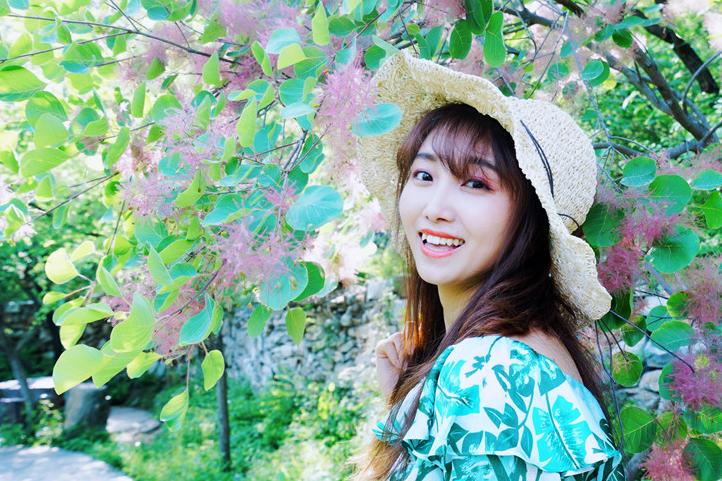 国家地理推荐的坡峰岭，2000亩黄栌花开等你来