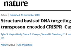 基因编辑高清细节首次被捕获，新工具改进CRISPR系统的不足 ​